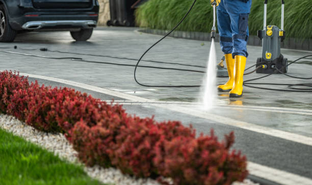 Roof Power Washing Services in Edmonston, MD